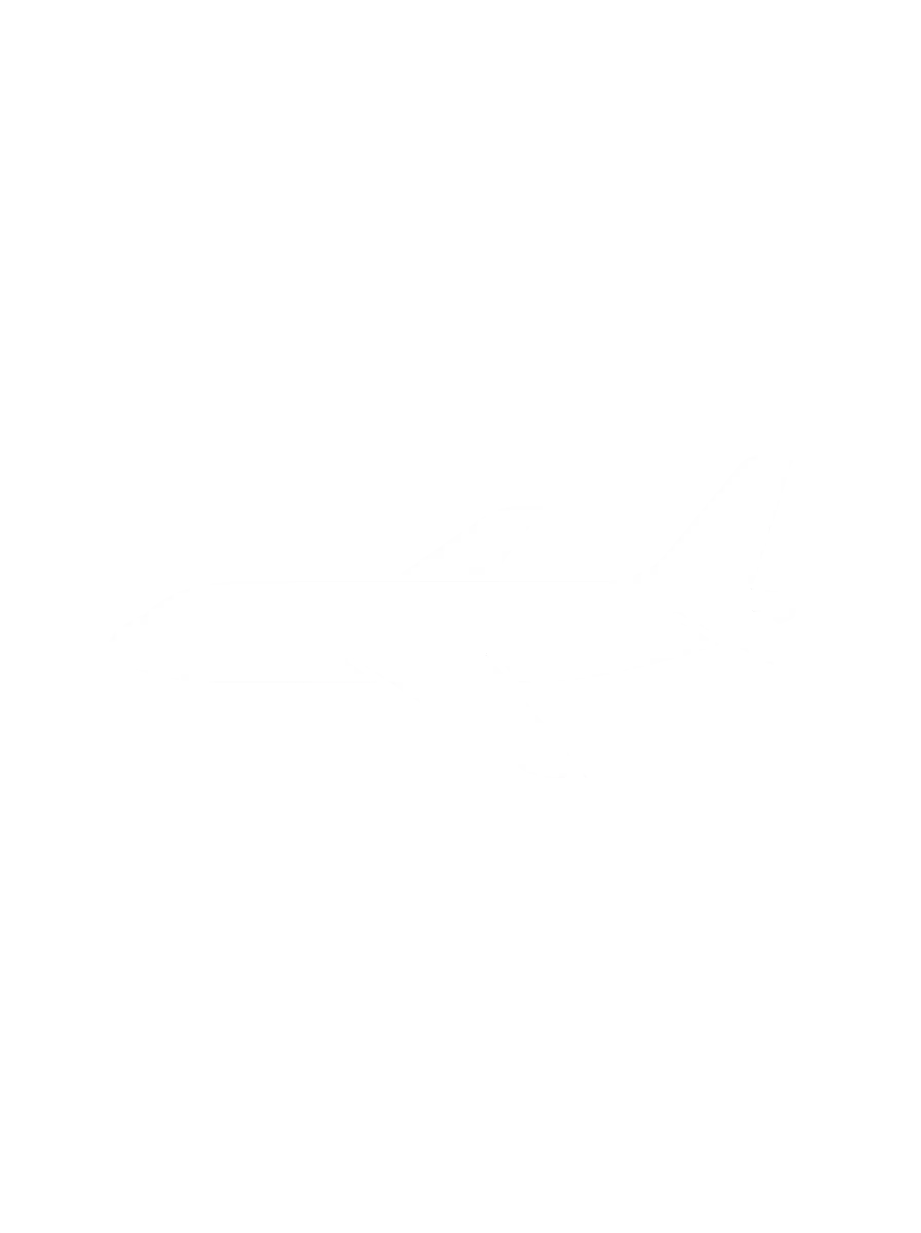 Plane icon